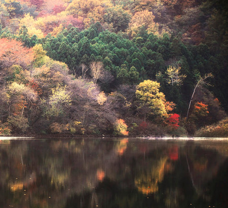 Autumn forest reflected in the lake. Vintage style toned pictureの写真素材