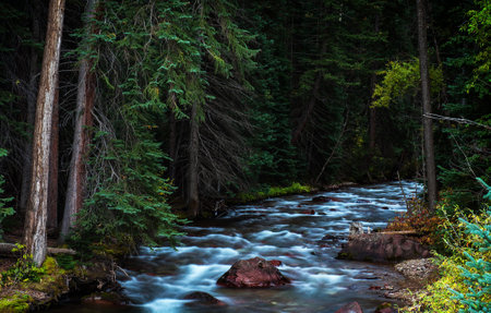 Mountain river flowing through the forest. Tatra Mountains, Polandの写真素材