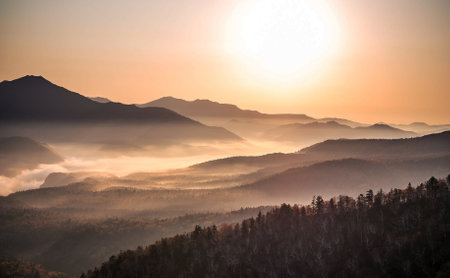 Foggy sunrise in the mountains. Landscape with fog.の写真素材