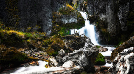 Waterfall in the forest. Waterfall in the mountain forest.