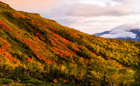 Colorful autumn landscape in the mountains with red and orange foliage.の写真素材