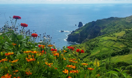 Scenic view of the coast of Madeira Island, Portugal.の写真素材