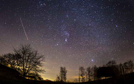 Milky way and stars in the night sky with silhouette of trees