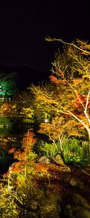 Kyoto, Japan at night. Beautiful autumn garden in Kyoto.の写真素材