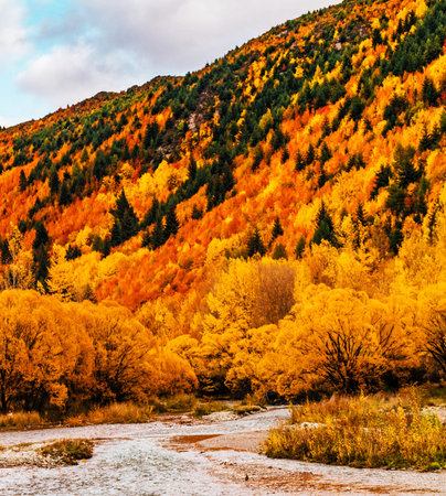 Colorful autumn alpine landscape with river and colorful forest in mountains