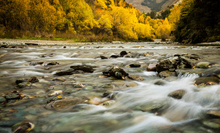 Mountain river in the autumn forest. Beautiful nature landscape with mountain river