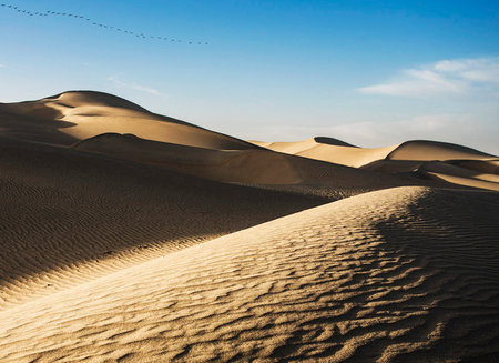 Sand dunes in Maspalomas, Gran Canaria, Canary Islands, Spainの写真素材