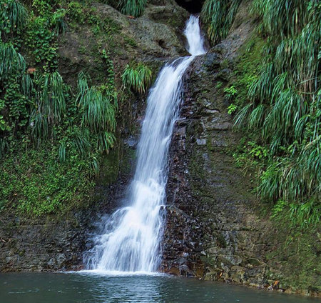 Waterfall in the forest on the island of Madeira, Portugal
