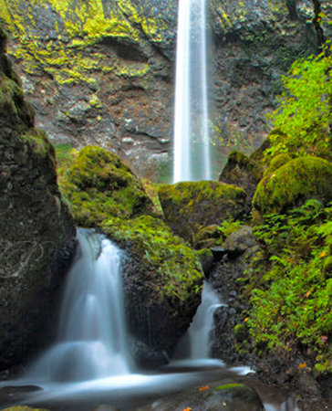 Waterfall in the forest. Waterfall on a mountain river.の写真素材
