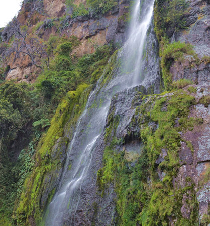 Waterfall in the mountains of Madeira Island, Portugal. Verticalの写真素材