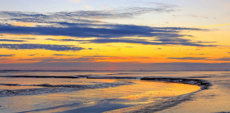 Sunset over the sea, low tide, waves and clouds.