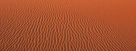 Red sand dunes in the Sahara desert, Morocco, Africa.