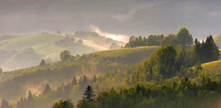 Panoramic view of the morning fog in the Carpathian mountainsの写真素材