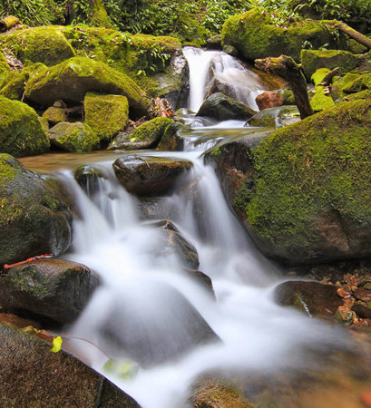 Waterfall in tropical rainforest, Thailand. (Soft focus)の写真素材