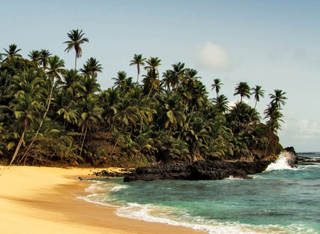Tropical beach with palm trees on the islandの写真素材