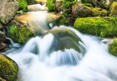 Water flowing over mossy stones in a small stream in the forest