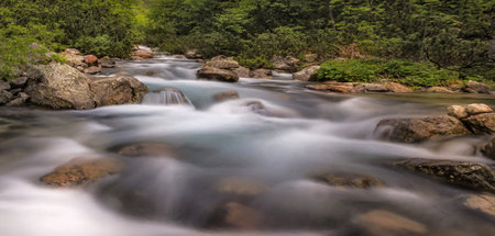 Long exposure of a mountain river flowing through a forest in the summer