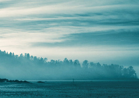 Foggy morning on the lake. Nature composition. Toned.