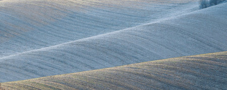 Agricultural field in the Tuscany region, Italy.