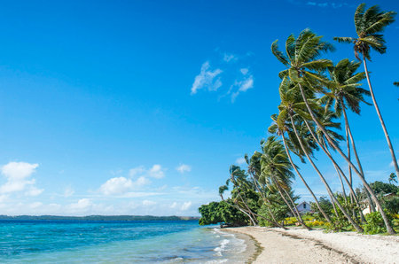 Beautiful tropical beach with coconut palm trees at Seychelles