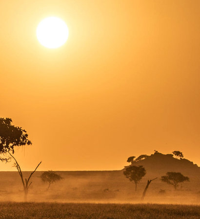 Sunset in the savannah of Serengeti National Park, Tanzania