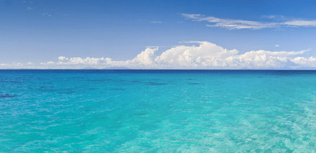 tropical beach with few palm trees and blue lagoonの写真素材