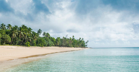 Panoramic view of beautiful tropical beach with palm trees and sandの写真素材