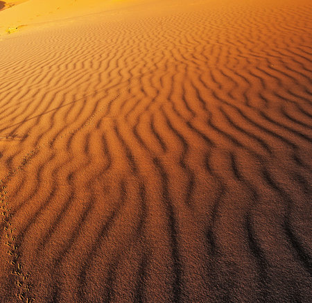 abstract texture line wave in the desertの写真素材