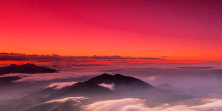 Beautiful sunrise over the clouds at Doi Pha Tang, Chiang Rai, Thailandの写真素材