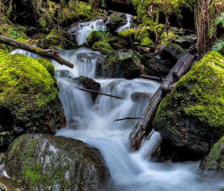 Small waterfall in the forest on a foggy day. Shallow depth of field