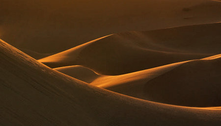 Sand dunes in the Sahara desert, Morocco. Sunset light.の写真素材