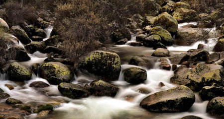 mountain stream with rocks and green moss in the foreground, long exposureの写真素材