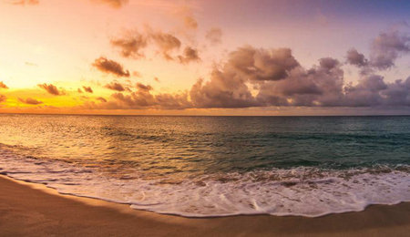 Beautiful sunset on the beach of the Caribbean island of Barbadosの写真素材