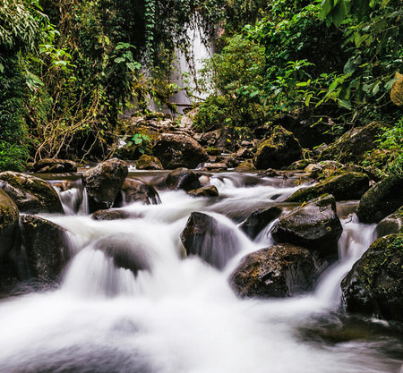 Waterfall in deep rain forest at Doi Inthanon National Park, Chiang Mai, Thailandの写真素材