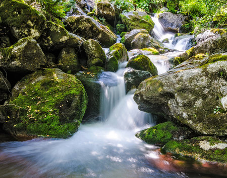 Waterfall in the forest. Beautiful waterfall in the forest. Mountain stream.の写真素材