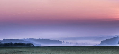 Panoramic view of foggy meadow with trees at sunriseの写真素材