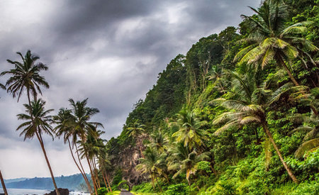 Coconut palm trees on the beach