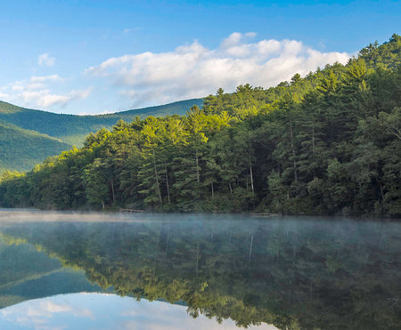 Beautiful landscape of mountain lake in the morning with fog and forestの写真素材