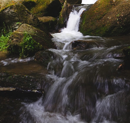 Small waterfall in the forest. Mountain stream in the forest. Waterfall in the forest.の写真素材