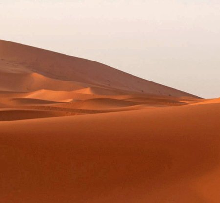 Sunset on the beach of the Baltic Sea in Jurmala, Latviaの写真素材