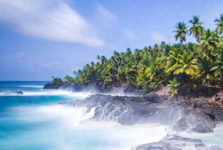 Tropical beach with palms and rocks, Seychellesの写真素材