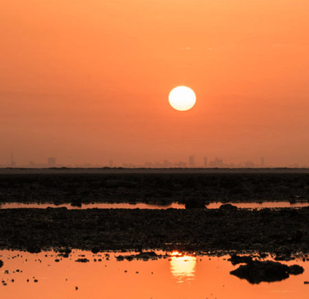 Sunset over the salt marshes in Dubai, United Arab Emiratesの写真素材