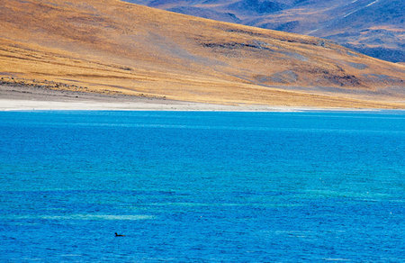 View of the Lake Pangong or Pangong Lake in the Tibet Autonomous Region of Chinaの写真素材