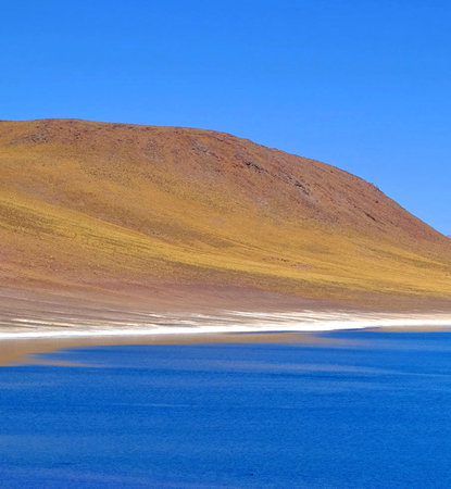 Laguna de Atacama, Altiplano