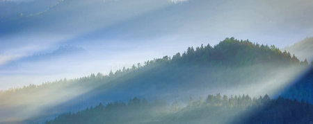 Panoramic view of foggy valley in the Carpathian mountains