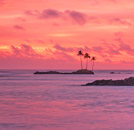 Palm trees silhouetted against a pink sunset over the ocean