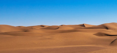 Desert sand dunes in Maspalomas Gran Canariaの写真素材
