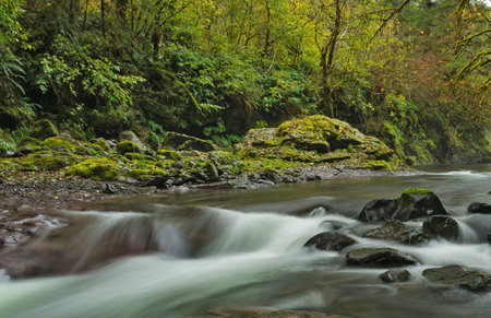 Long exposure of a river flowing through a forest with moss covered rocksの写真素材
