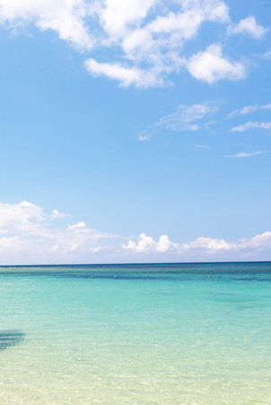 Beautiful tropical beach with turquoise water and blue sky.の写真素材