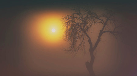 Dead tree in a misty forest at sunset. Vector illustration.の写真素材